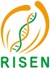 Risen