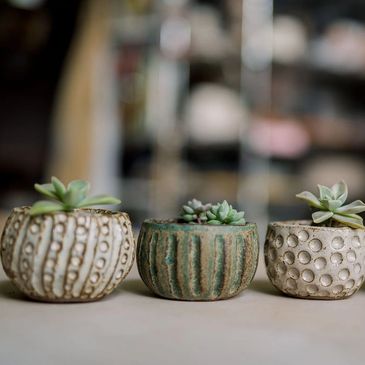 group of ceramic succulent planters