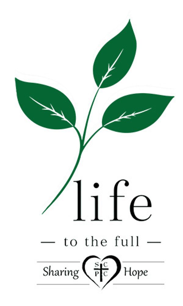 Logo with green leaves and the word 'life'