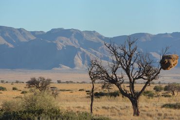 image88