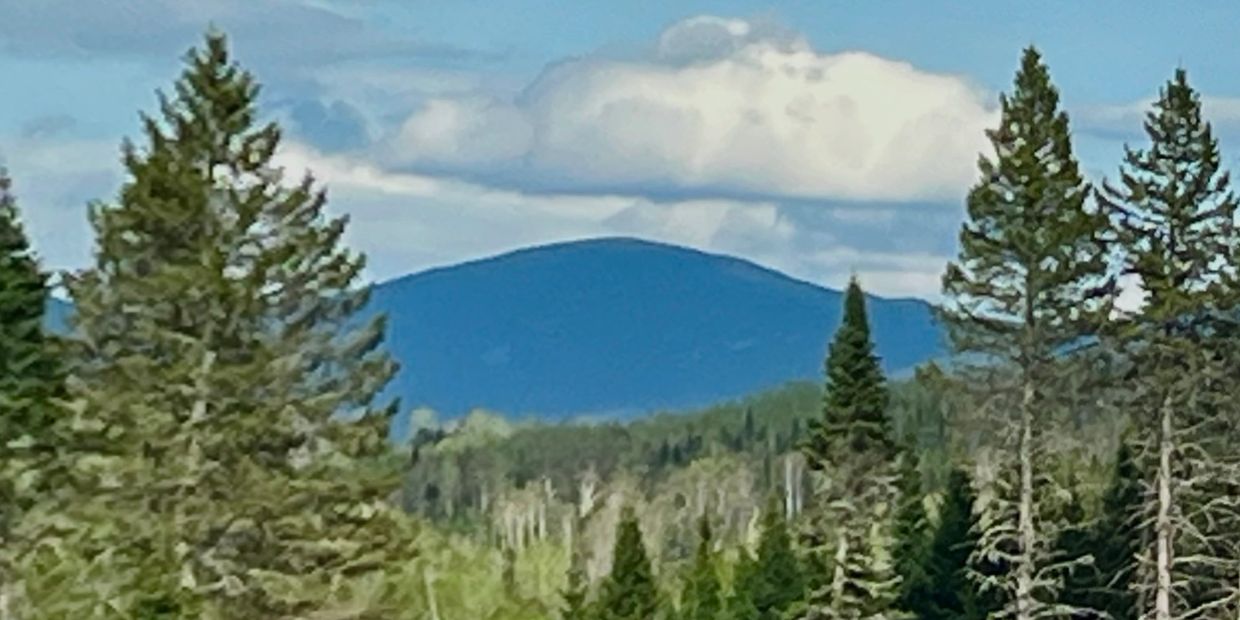 Mountain landscape with tall pine trees under a partly cloudy sky.