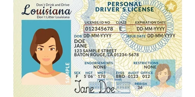 REAL ID, driver's license, TIP, learner's permit, license renewal, OMV, DMV