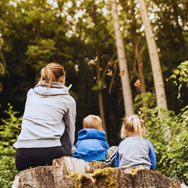 A woman and two children sit on a tree stump, watching butterflies in a forest.