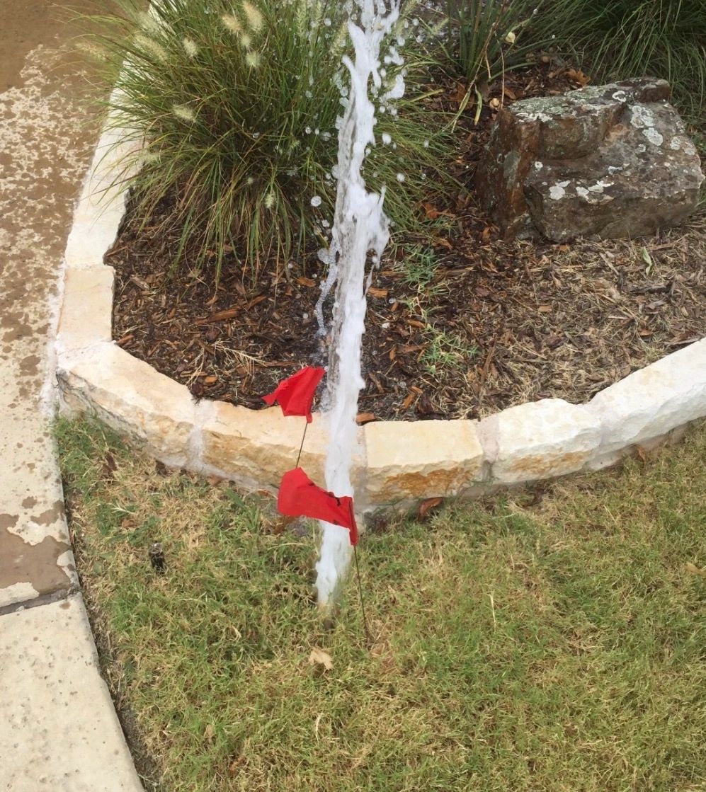 Broken sprinkler head spraying water near a landscape bed before repair.