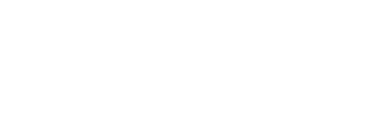 Own the Night Entertainment Co.