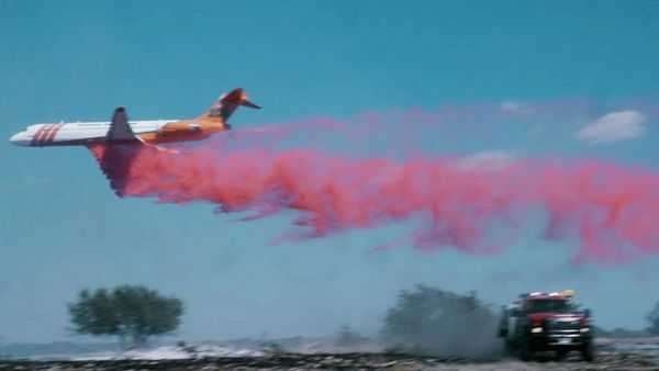Taming a Wildfire 