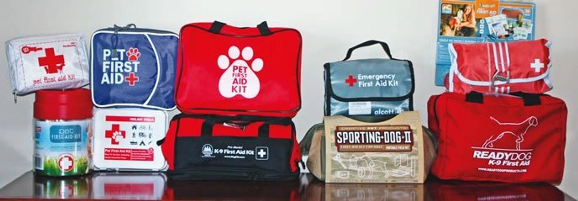 Pet First Aid CPR Training Montana K9 SAFETY