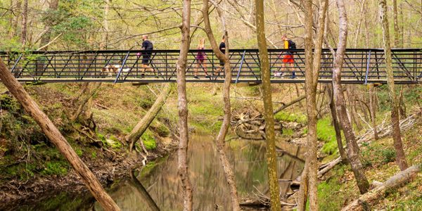 People walking on a bridge over a forest creek in early spring.