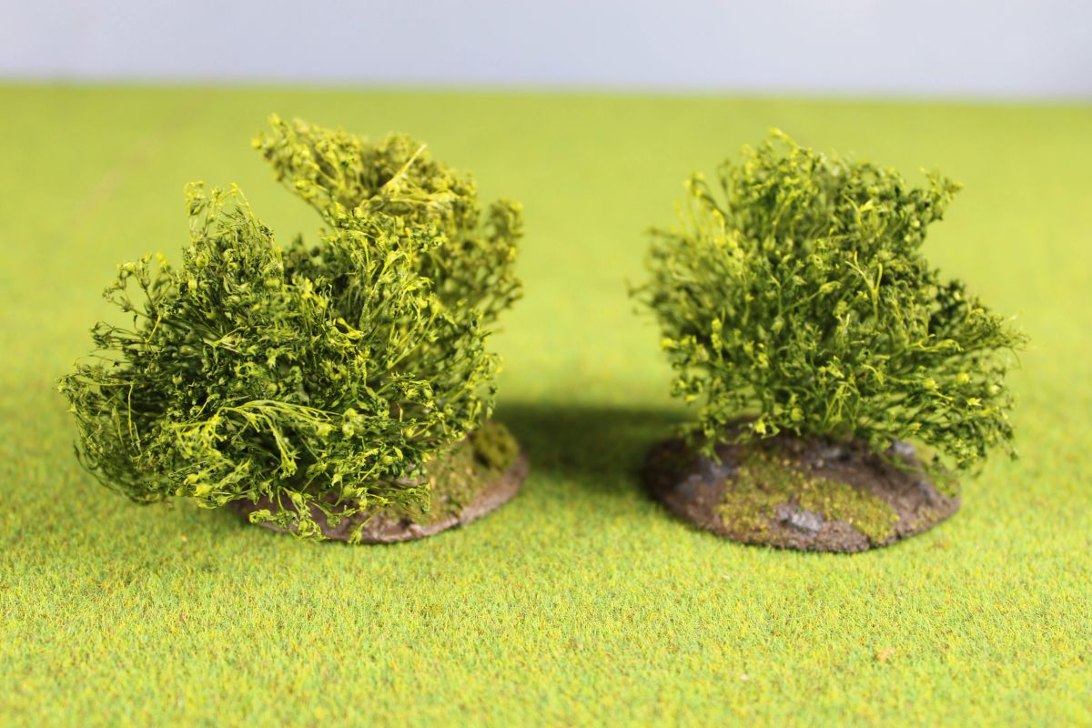 Last Post Summer Bushes