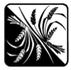PRAIRIE CONSULTING GROUP, INC.