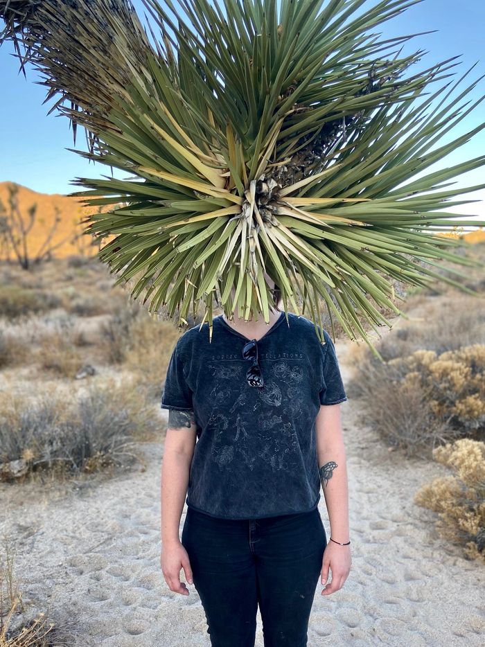Faceless selfie behind a Joshua Tree
