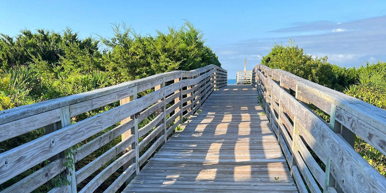 Wooden boardwalk leading through greenery towards a blue sky horizon.