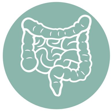 Mejora tu salud intestinal. Nutriologa clínica cdmx