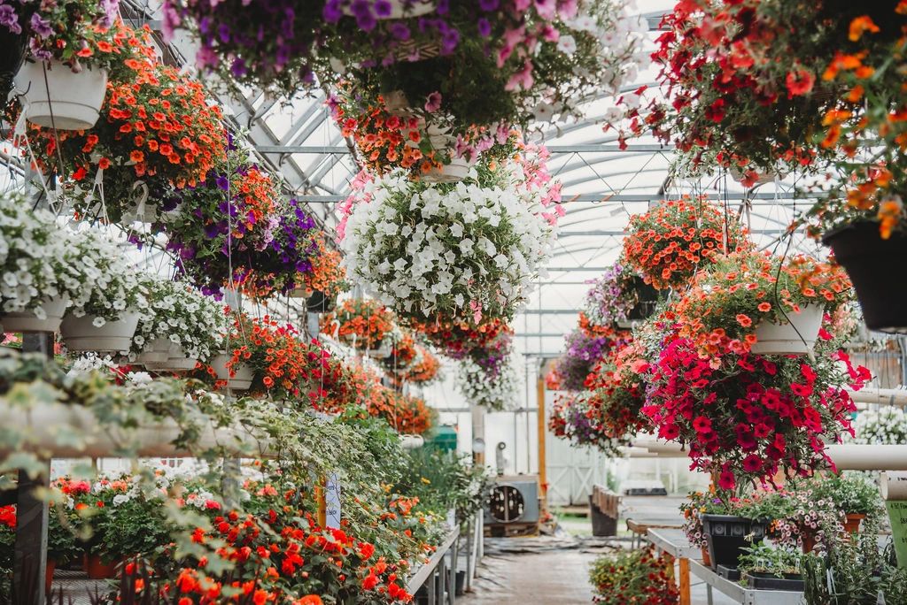 Jakes Greenhouse Inc. Greenhouse/Nursery, Christmas Trees/Wreaths