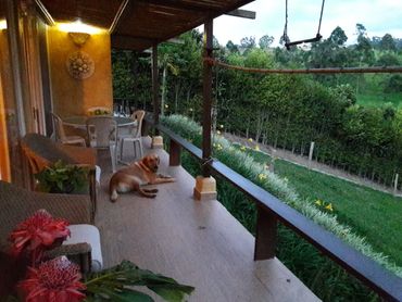 image277