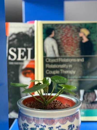 Small potted plant with books in the background.