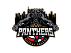 Silicon Valley Panthers