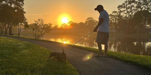 Dog walker