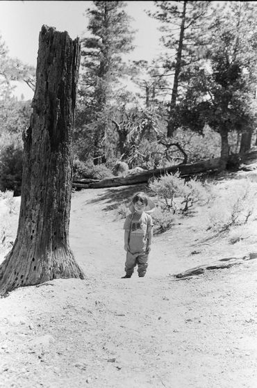 Child standing on a forest path near a tree stump.
