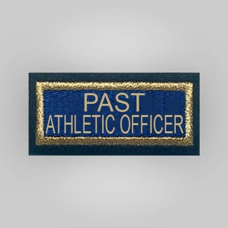 Past Officer's Insignia - Post Level - Image 8