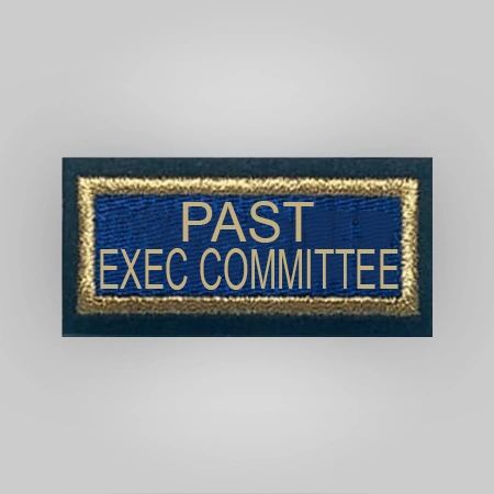 Past Officer's Insignia - Post Level - Image 7