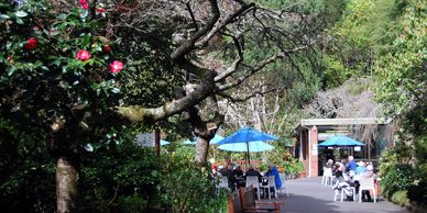 Eden Garden with trees 
