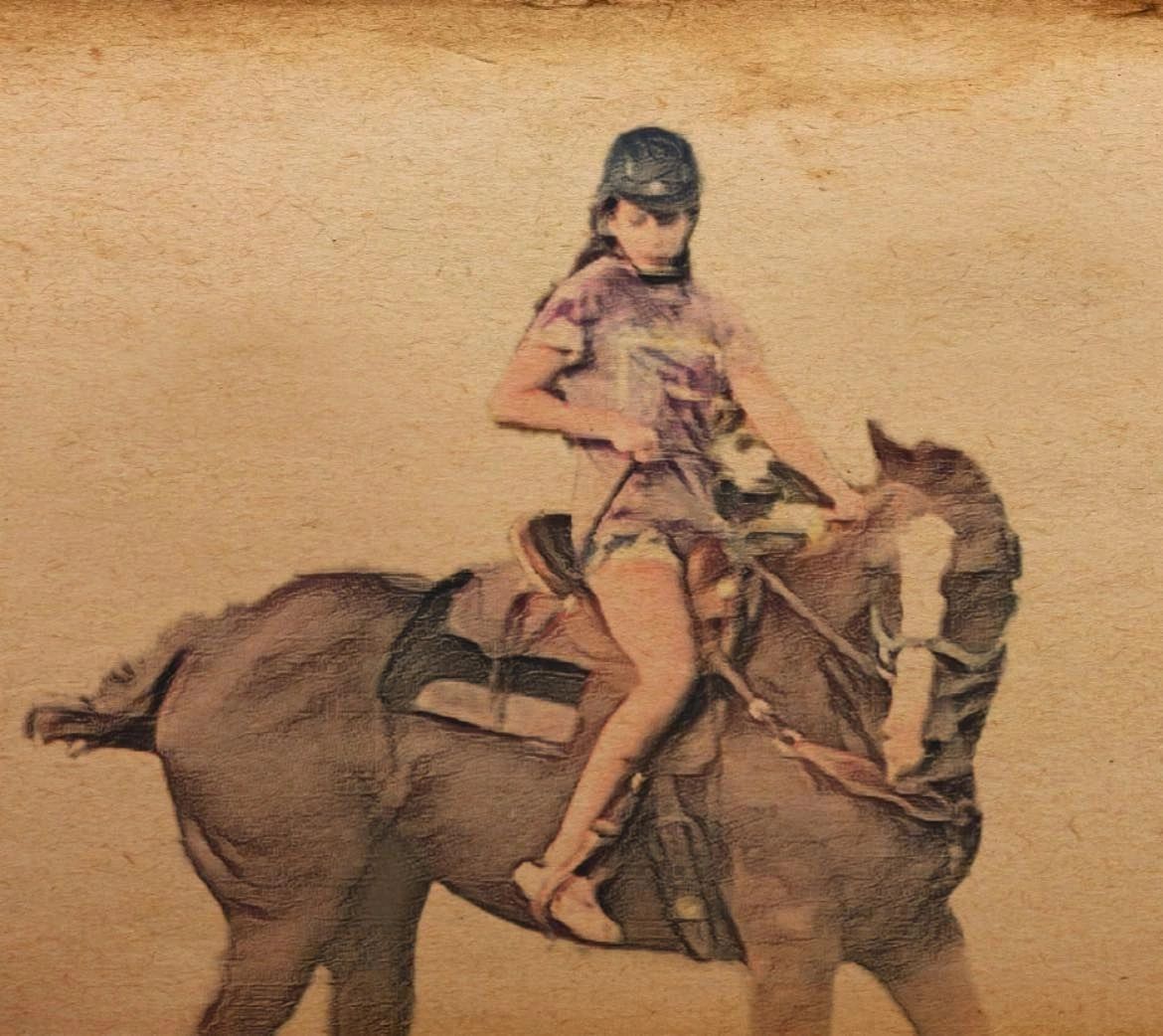 DREAMWEAVER Farm Fairytale Stables