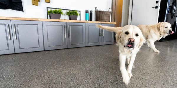 Two dogs walking on a newly installed Penntek floor system.