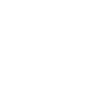 LISSfit