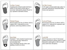 Foot Types and Mods