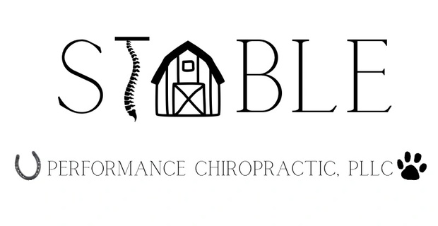 Stable Chiro