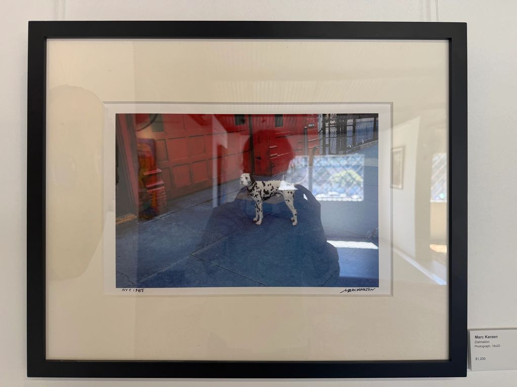 Framed photograph of a Dalmatian dog on a street corner by Marc Karzen.