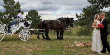 Moonlight Carriage Company
15509 Wcr 100, Nunn, CO 80648
(970) 405-9537