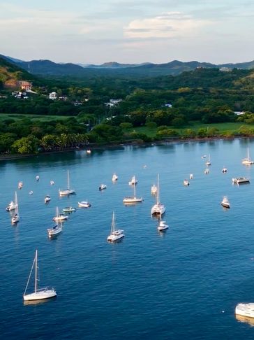 Numerous sailboats anchored in calm coastal waters near a green shoreline.
