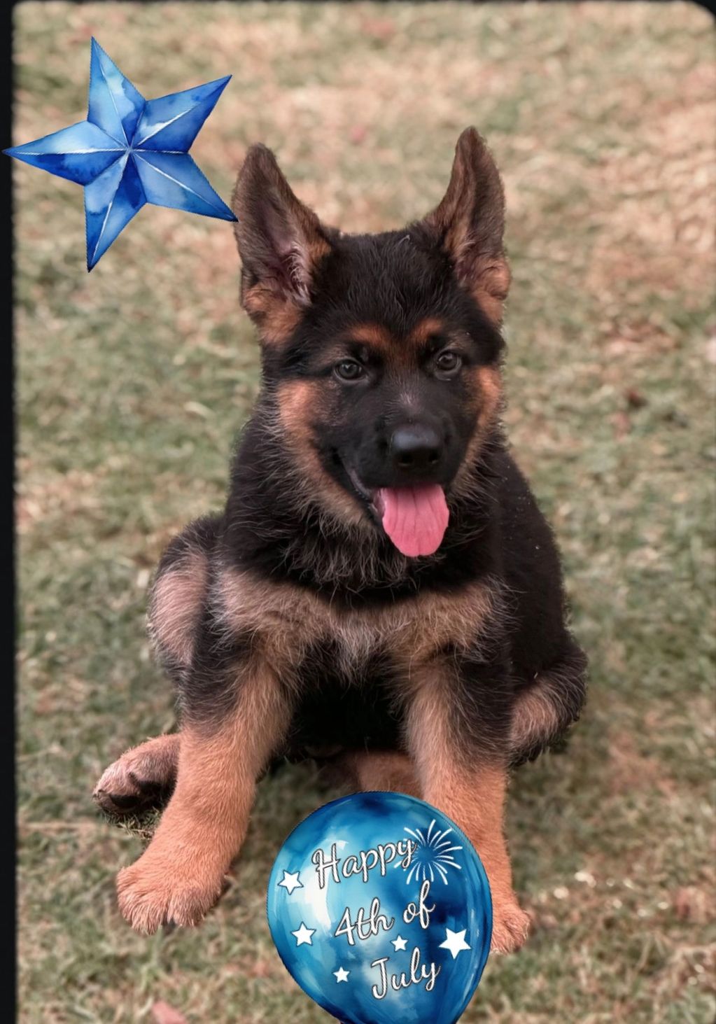 Blue Boy