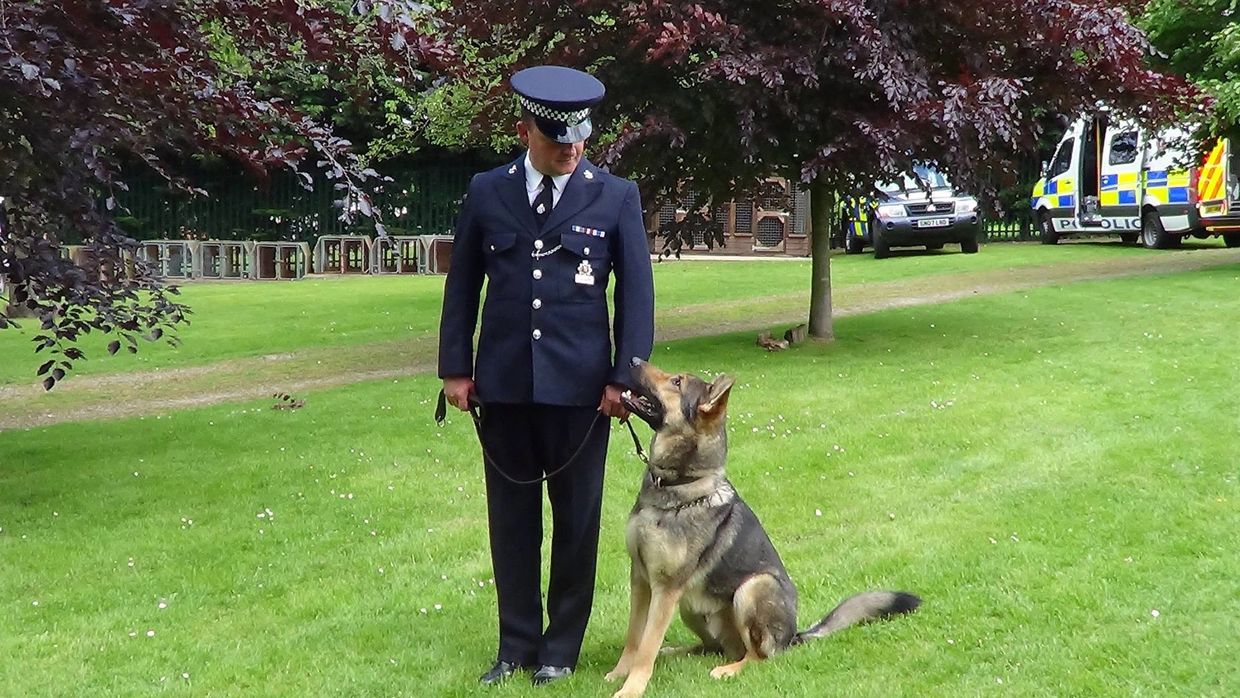 Nigel Marshall MBIPDT of Swanley Dog Training.