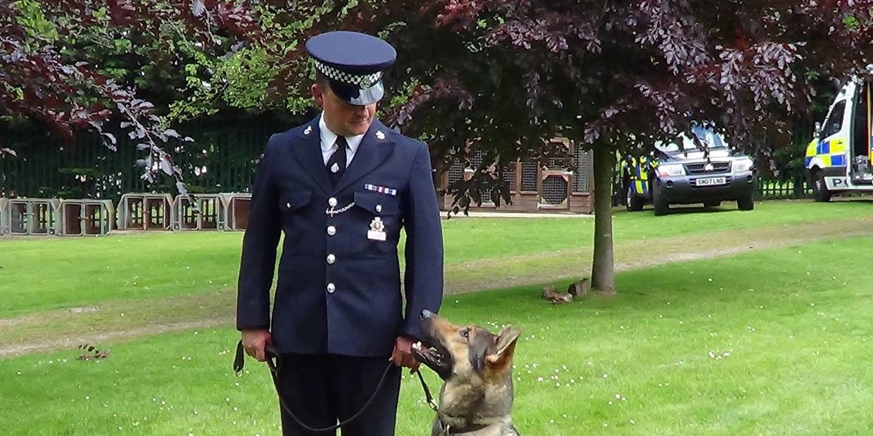 London Dog Training and Woolwich Dog Training founder: Nigel Marshall MBIPDT.