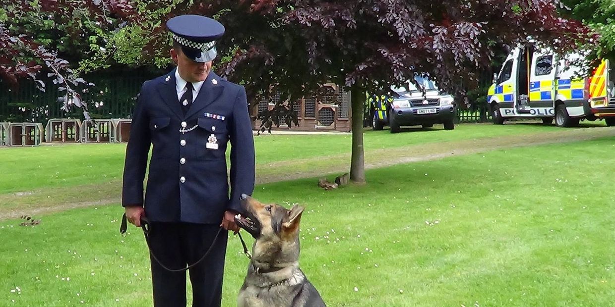 Police-trained dog trainer and dog behaviourist; Nigel Marshall, MBIPDT.