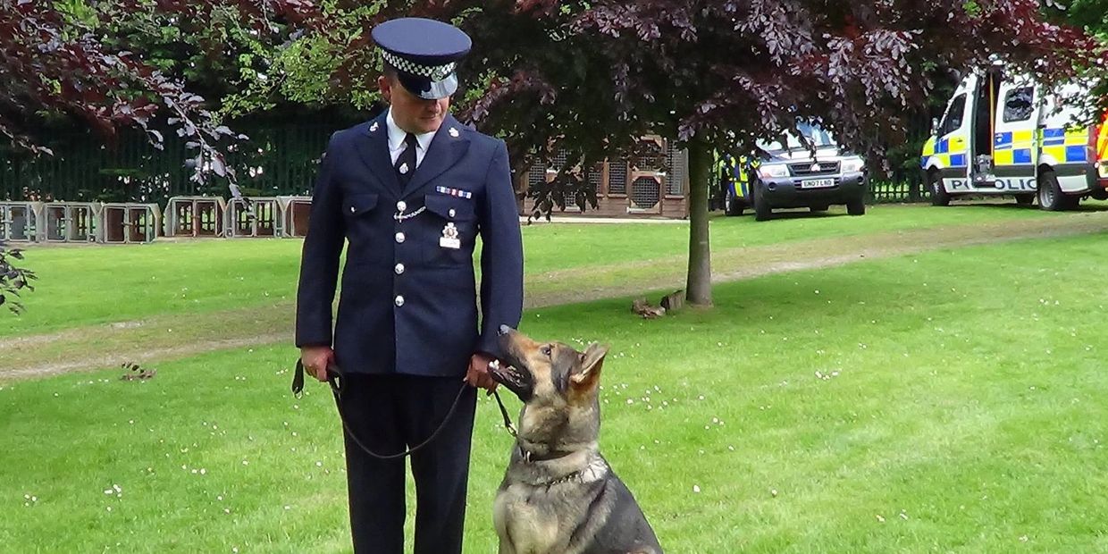Nigel Marshall, MBIPDT - a police trained professional dog trainer & dog behaviourist