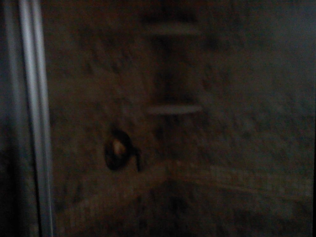 Interior & Detail Work photo 12