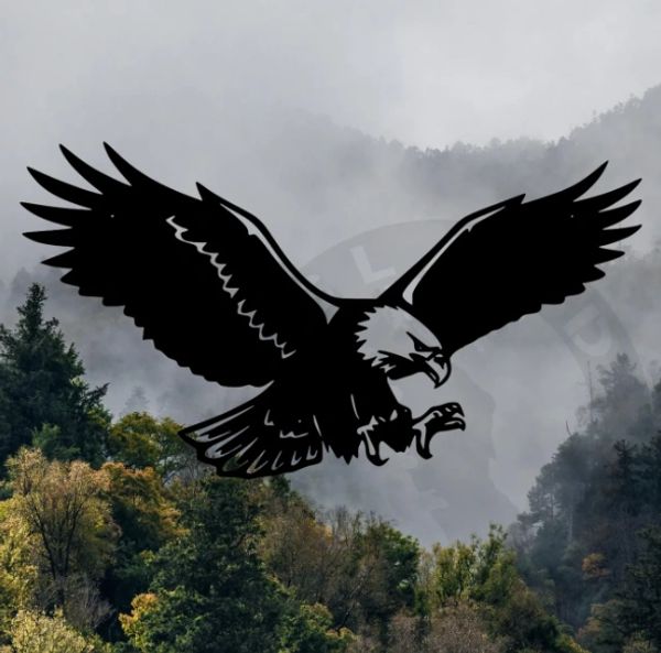 landing eagle, eagles, flying eagle, metal art, island metal arts