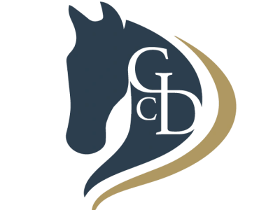 Stylized horse head logo in dark blue and gold.