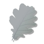 Oakley Designs Consultancy