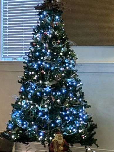 FSC Festival of Trees 2024