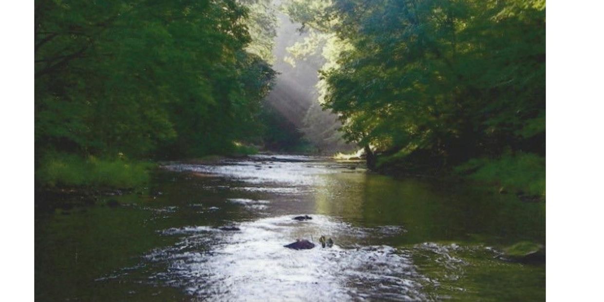 canoeing-friends-of-sugar-creek