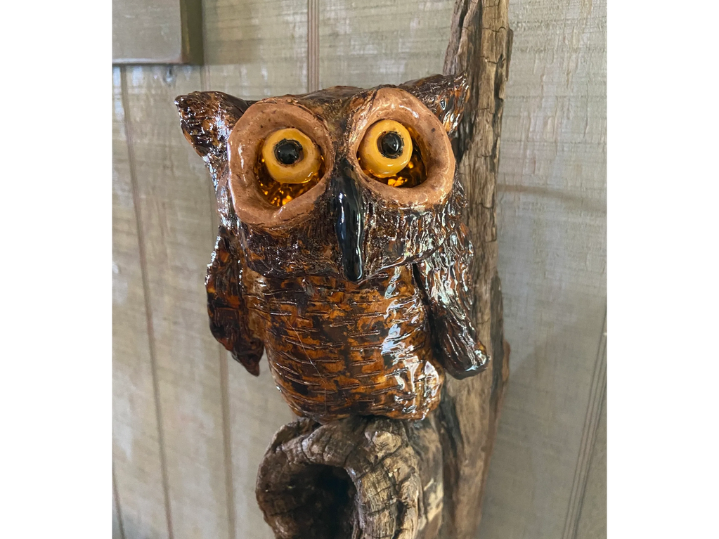 Owl on driftwood