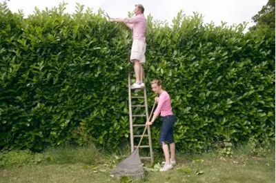Help getting up a ladder and back down