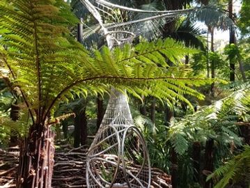 Fern Gully, Royal Botanic Gardens, Melbourne VIC