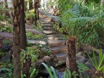 Fern Gully, Royal Botanic Gardens, Melbourne VIC