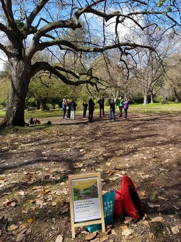 Tuning the Senses on the Oak Lawn at RBG Melbourne